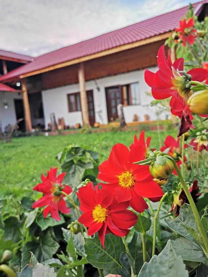 Вилла Jugul Taranului Agropensiune Polovragi, Gorj Экстерьер фото